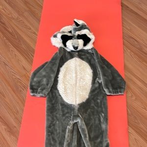 Raccoon 🦝 🦝🦝🦝🦝🦝 costume!!!